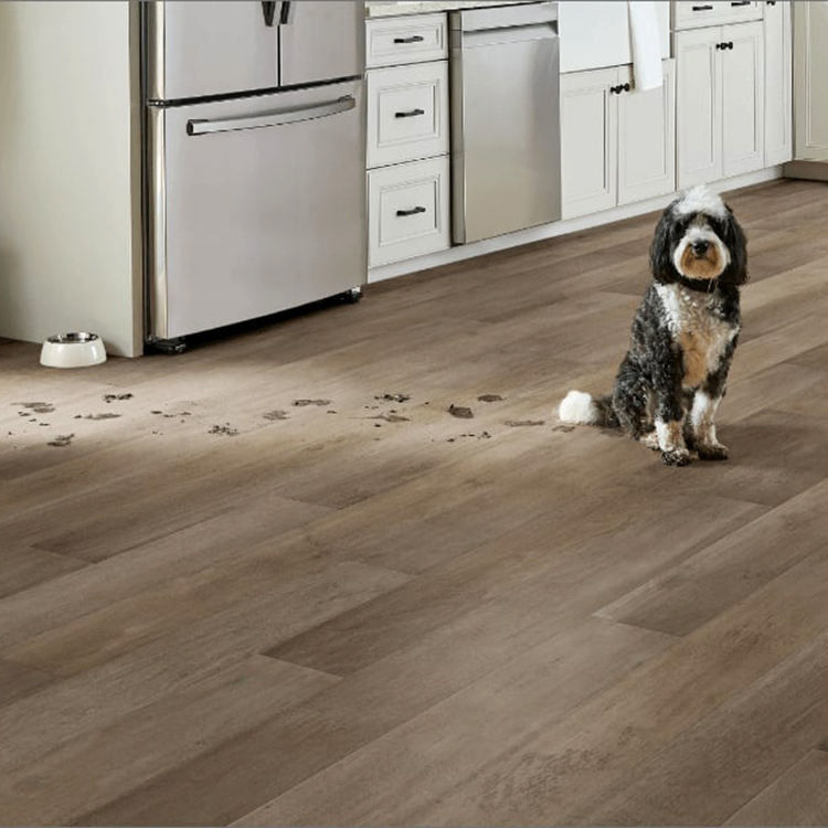 জলরোধী কাঠের দানা 4 মিমি 5 মিমি পিভিসি ক্লিক লক এসপিসি মেঝে এলভিপি মেঝে ভিনাইল প্লাঙ্ক বিলাসবহুল ভিনাইল মেঝে IXPE সঙ্গে