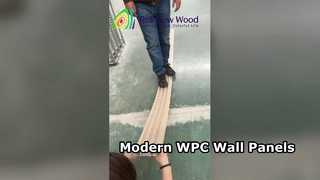 আধুনিক বাড়ির জন্য WPC ওয়াল প্যানেল